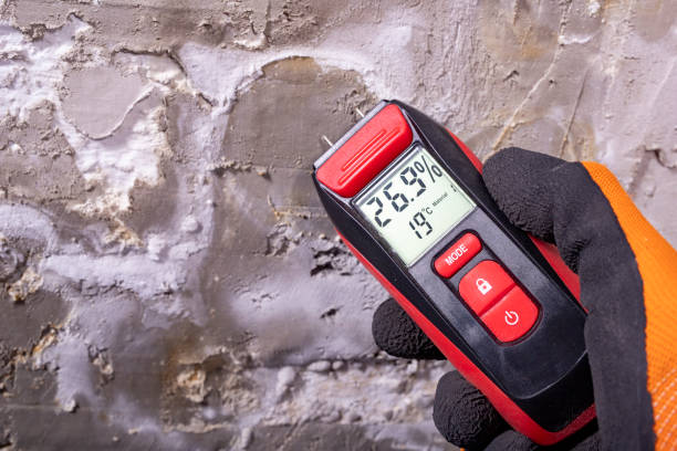 Best Crawl Space Mold Removal  in Hawley, PA