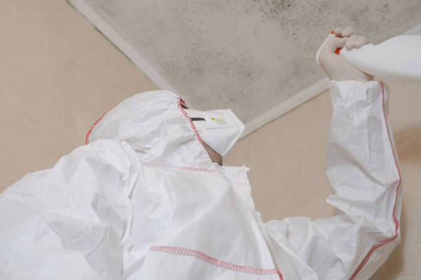 Best Toxic Mold Removal  in Hawley, PA