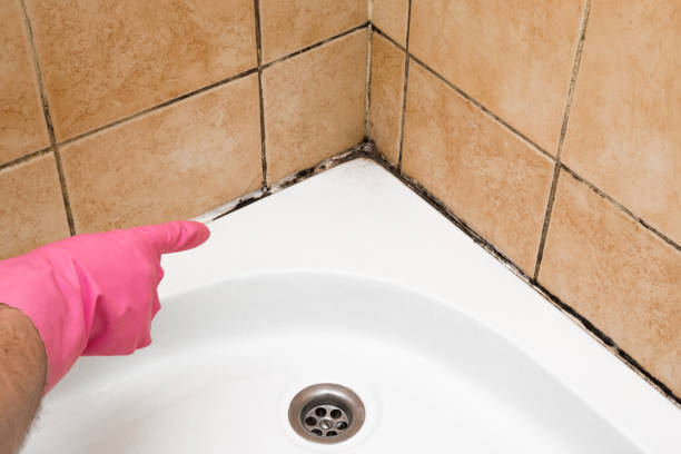 Best Attic Mold Removal  in Hawley, PA
